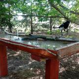 photo 2022-06-23 08-56-49