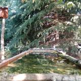 photo 2023-09-29 11-03-02