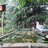 photo 2023-04-30 14-57-27