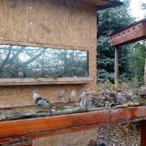 photo 2022-11-28 12-35-23