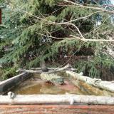 photo 2023-03-13 15-33-34