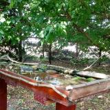 photo 2022-05-16 16-16-44