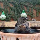 photo 2024-01-24 09-13-00 2