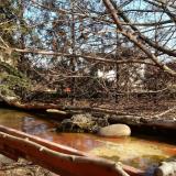 photo 2022-02-15 11-34-33