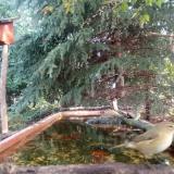 photo 2023-09-25 09-44-08