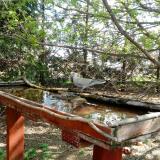 photo 2022-04-11 10-32-49