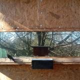 photo 2023-02-05 12-11-05