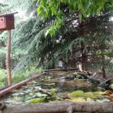 photo 2023-05-25 12-43-15