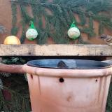 photo 2023-12-28 08-55-55