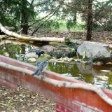 photo 2022-05-06 10-51-38 szencinege