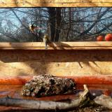 photo 2022-02-03 11-20-04