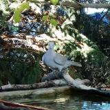 photo 2022-10-16 15-43-02