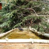 photo 2023-03-20 12-07-44