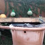 photo 2024-01-08 08-39-41