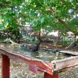 photo 2022-05-10 18-16-47