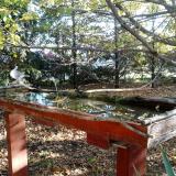 photo 2022-10-17 08-40-45