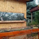 photo 2022-10-26 09-52-55