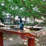 photo 2022-06-05 15-43-32