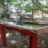 photo 2022-07-14 10-38-53