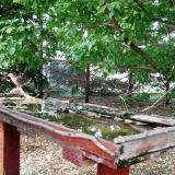 photo 2022-05-11 19-22-42