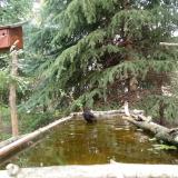 photo 2023-04-06 12-14-42