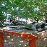 photo 2022-06-03 13-35-50