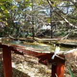 photo 2022-10-17 13-56-58