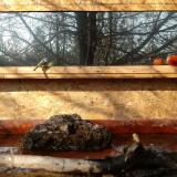 photo 2022-02-11 10-19-10