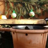 photo 2023-12-30 11-52-52