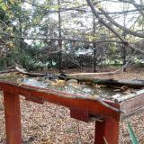 photo 2022-10-22 08-59-50