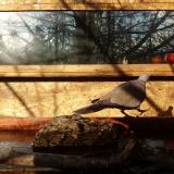 photo 2022-02-04 08-52-16