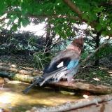 photo 2022-05-12 16-27-25 szajko