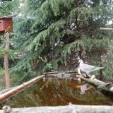 photo 2023-04-01 12-13-43