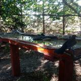 photo 2022-07-12 07-03-37