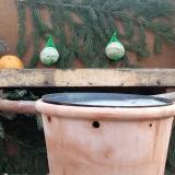 photo 2024-01-14 09-09-10