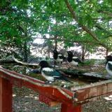 photo 2022-06-01 11-36-48