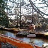 photo 2022-02-24 07-34-36