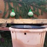 photo 2023-12-11 08-56-01