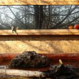 photo 2022-02-11 10-20-13