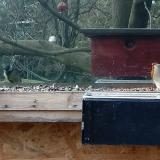 photo 2023-01-11 12-45-53