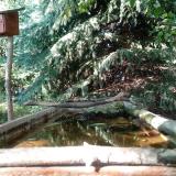 photo 2023-08-31 15-59-51