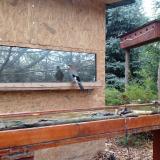 photo 2022-10-29 11-57-58