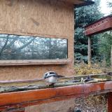 photo 2022-11-28 11-13-49