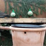 photo 2024-01-13 09-49-20