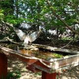 photo 2022-04-18 13-46-51