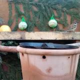 photo 2024-01-04 08-39-27