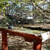 photo 2022-10-17 11-50-33