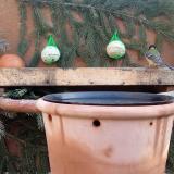 photo 2024-01-25 09-39-21