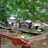 photo 2022-05-23 12-44-54