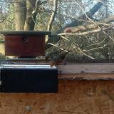 photo 2023-02-06 14-55-07